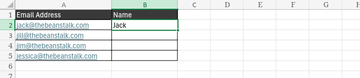 A screenshot of the same spreadsheet, this time with the first name entered